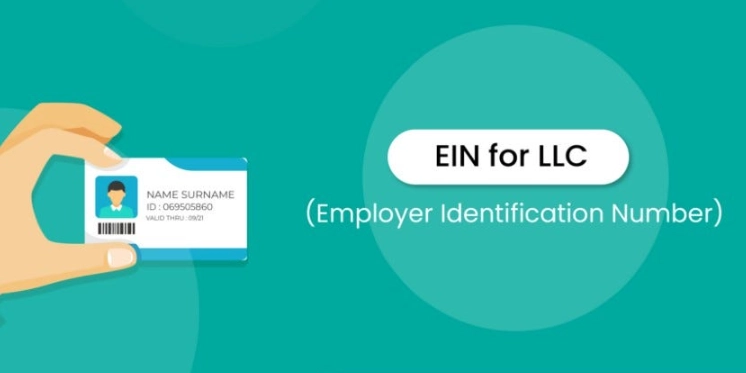 employer identification number employer identification number