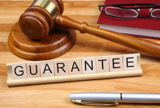 guarantor definition guarantor definition