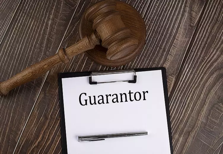 guarantor definition guarantor definition