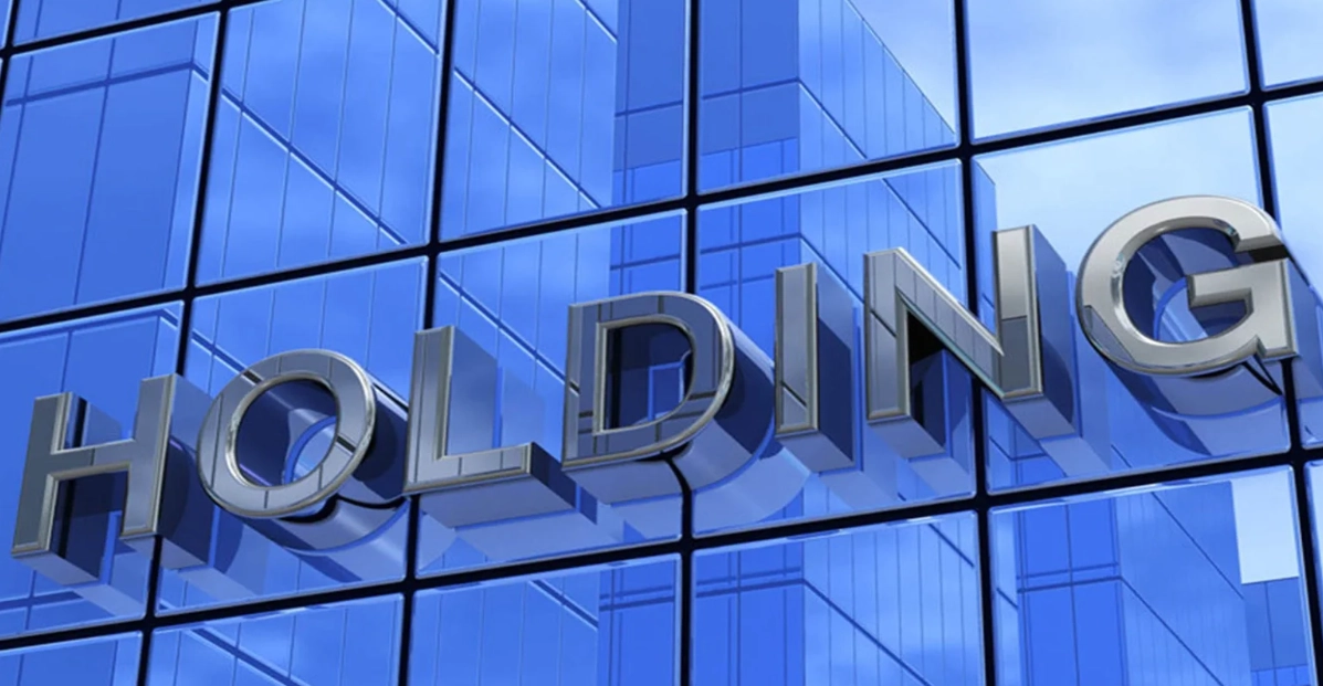 holding company structure holding company structure