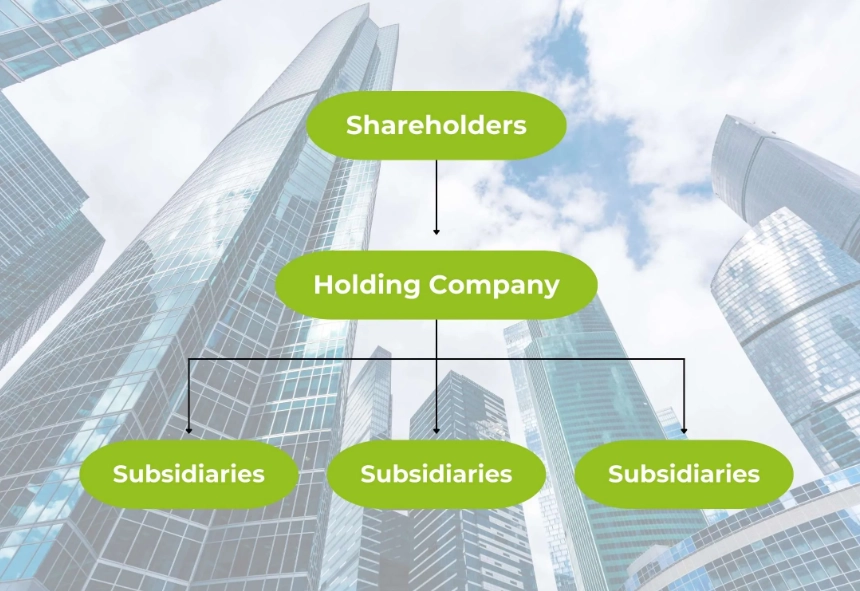 holding company structure holding company structure