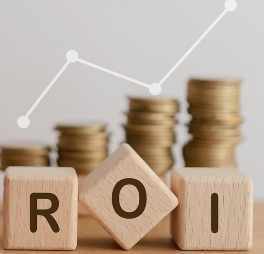 ROI formula