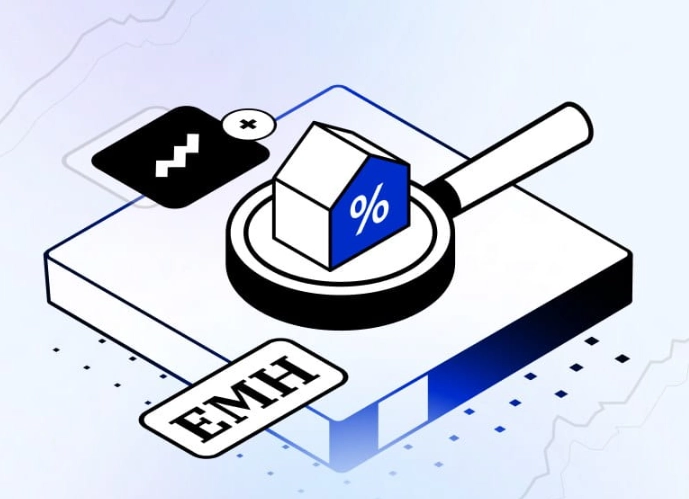 efficient market hypothesis