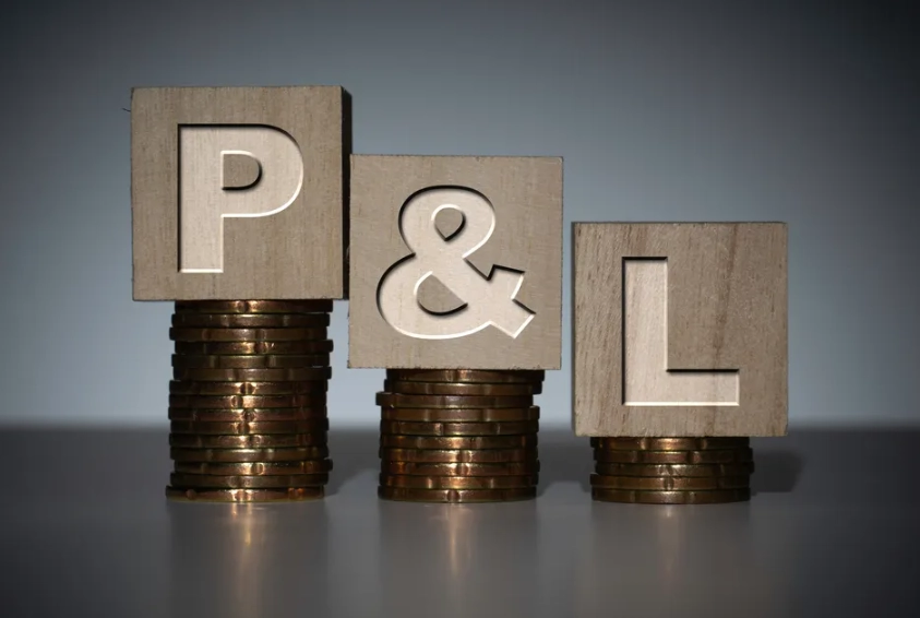 profit and loss statement meaning