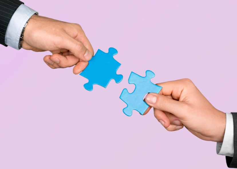 partnership strategy