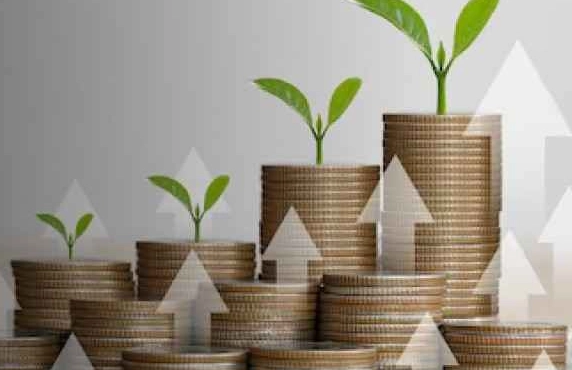 payout ratio analysis