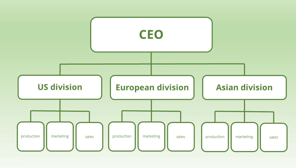 organizational structure examples