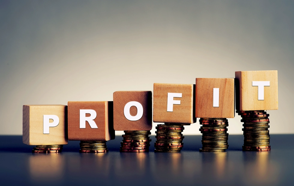profitability vs cash flow