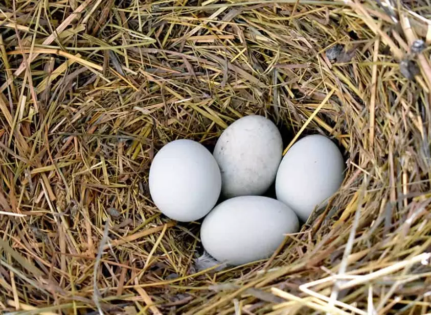 long-term financial planning