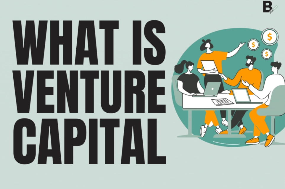 venture capital venture capital