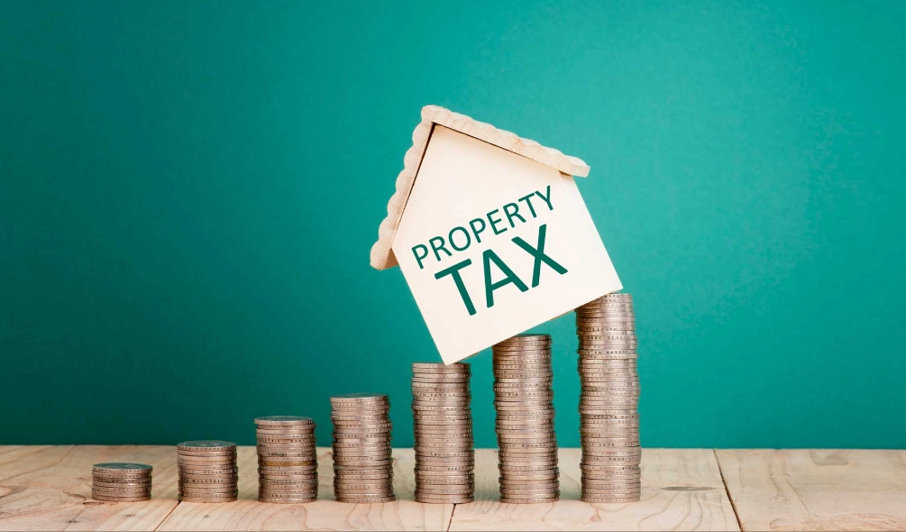 property tax appeal