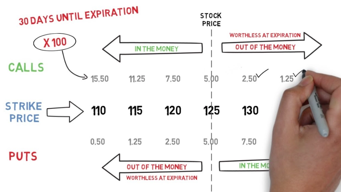 options trading for beginners